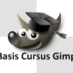 basis cursus Gimp