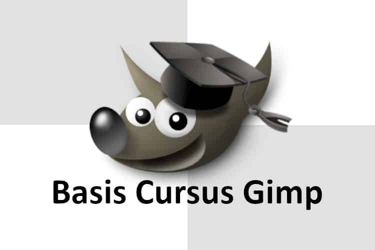basis cursus Gimp