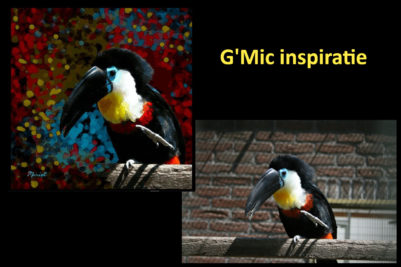 Toekan - G'Mic bewerking in Gimp