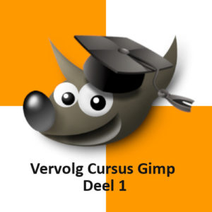 vervolg cursus Gimp