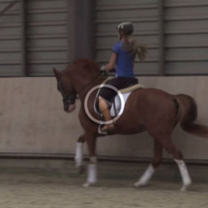 Les 9: Contragalop en de eenvoudige wissel