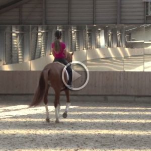 Maak Cursus