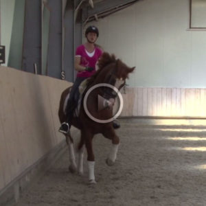 Les 6: Schouderbinnenwaarts