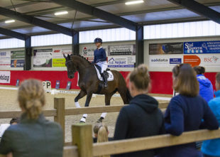 Rijden van jonge paarden