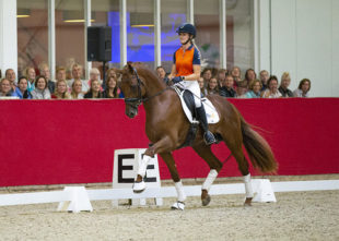 Hoefslag masterclass rijden van jonge paarden