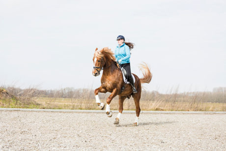 Vliegend galop wissel