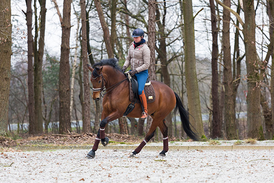 Galop ontwikkelen