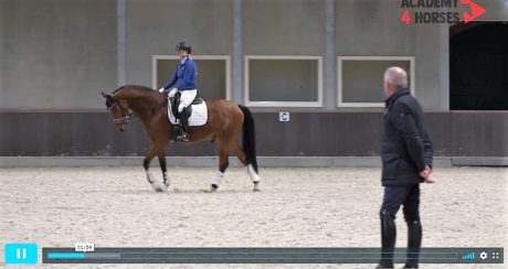 schakelen alex van silfhout nageeflijkheid