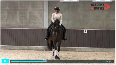 schakelen met alex van silfhout