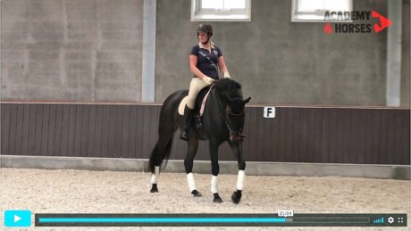 alex van silfhout schakelen impuls