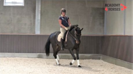 alex schakelen impuls