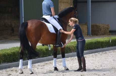 doorzitten als een prof met sara ouwehand