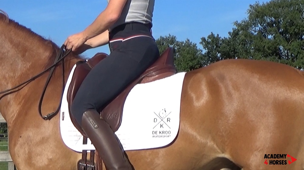 doorzitten als een prof opknijpen billen