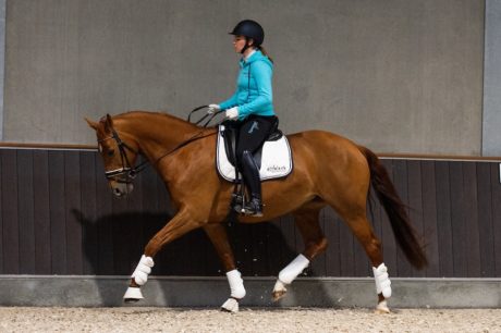 lindy krijgsman lest bij bastiaan de recht