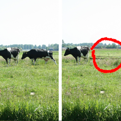 Leer een ongewenst object verwijderen met vervolgcursus Gimp deel 2