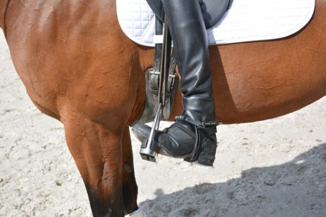 doorzitten als een prof met sara ouwehand