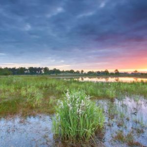 Cursus Natuur-en Macro Fotografie april