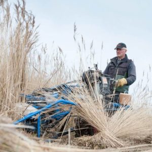 Fotoworkshop Rietsnijden door Digidiaal