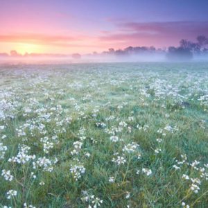Workshop natuur-landschap2021-06