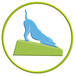 Build it Up -2022003