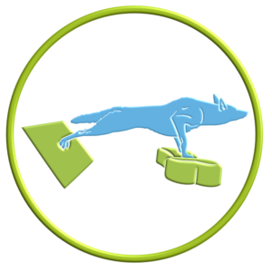 Tune it Up Class - 2022002