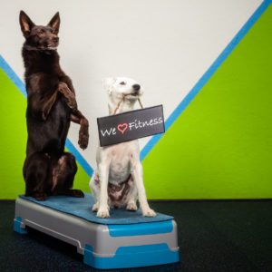 Oefeningen Bibliotheek (1 maand)