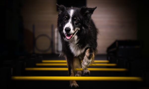 Fitness for seniorsFocus on movement and mental stimulation