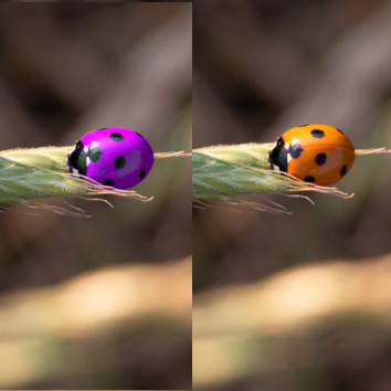 een object van kleur veranderen