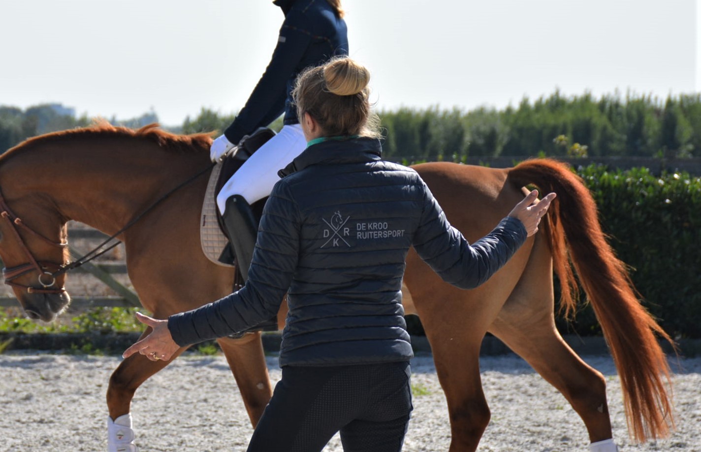 doorzitten als een prof met sara ouwehand
