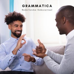 De grammatica van de Nederlandse Gebarentaal
