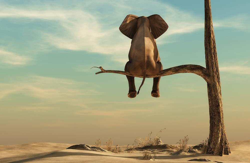 training-individuel-systemische-coaching