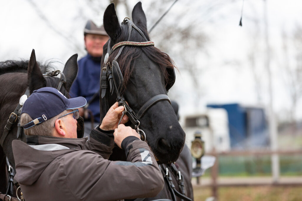 abonnee krijgt les herman ter harmsel