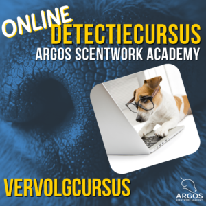 Detectie Vervolgcursus