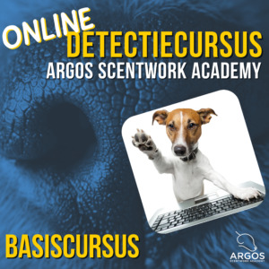 Detectie Basiscursus