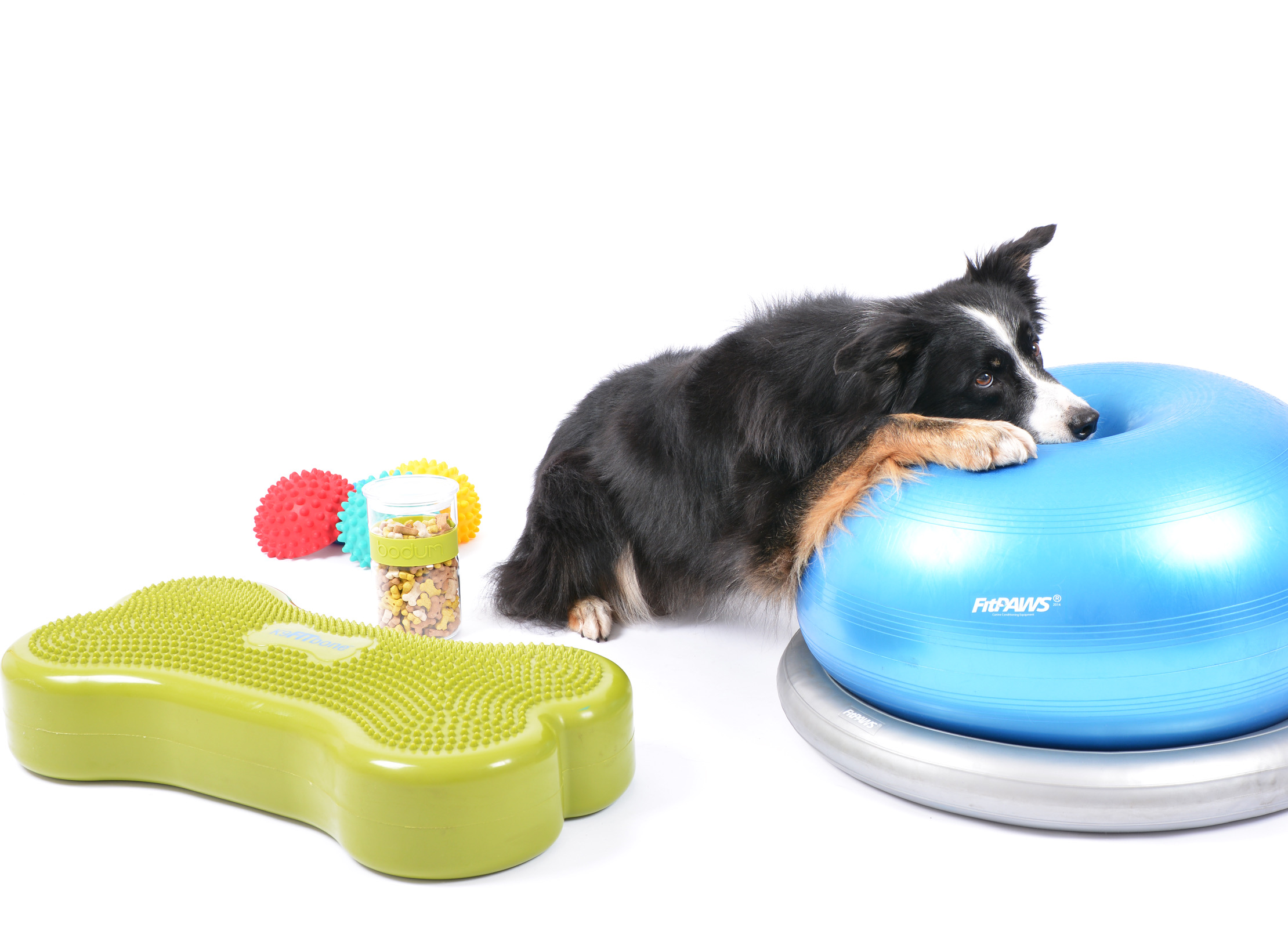 Hondenfitnessring - Bijt- En Speelring Voor Honden, Interactieve Trainingsring - Geschikt Voor Kleine, Middelgrote En Grote Honden - Wijnrood - Zacht EVA-materiaal - Gooien, Vangen En Trekken - Ideaal Voor Tandhygiëne En Spieropbouw