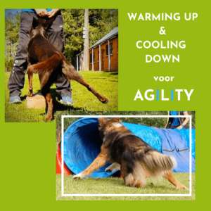 Warming Up - Cooling Down voor de agility hond