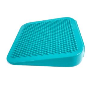 FitPAWS Dog Balance Ramp