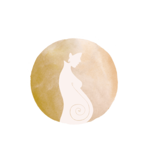 Vrije Geboorte cursus in termijnen