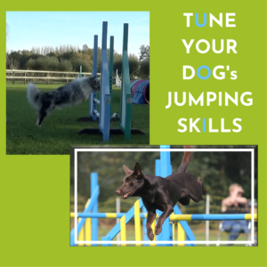 TYD-Jumping Skills - WorkshopLysFoolies - 2022002
