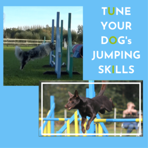 TYD-Jumping Skills - 2021001