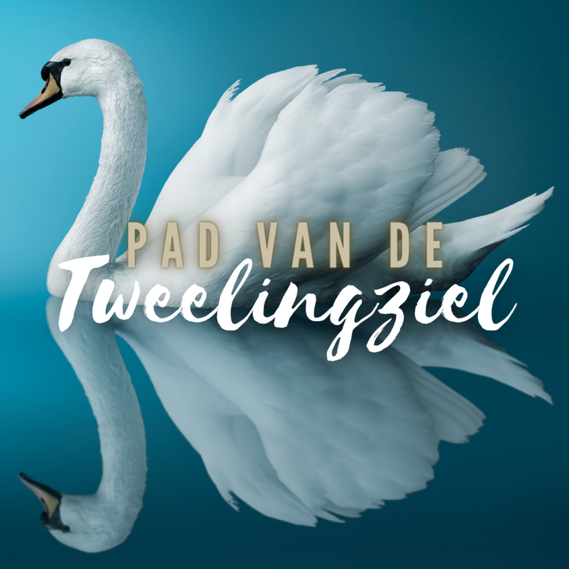 Een antwoord op veel gestelde tweelingziel vragen.