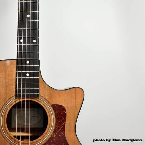 Blog-online-gitaarles