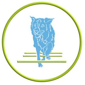 Fit Fun Class - 2022002