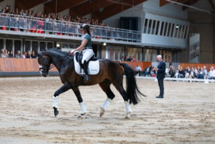 Hoefslag Masterclass