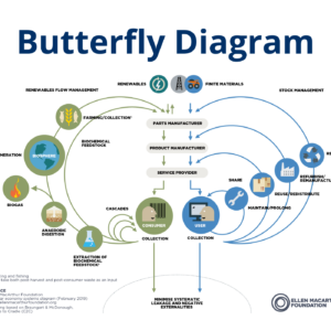 Butterfly Diagram
