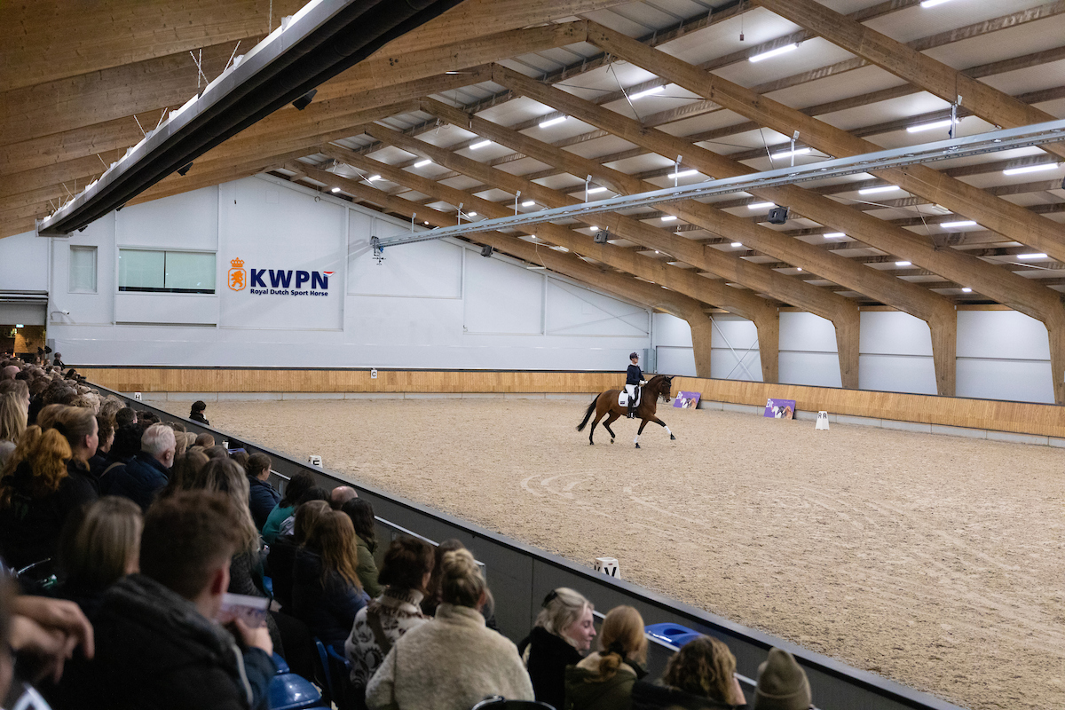 Verbinding & Variatie met Wesley Mulder en Marten Luiten - Afbeelding 7