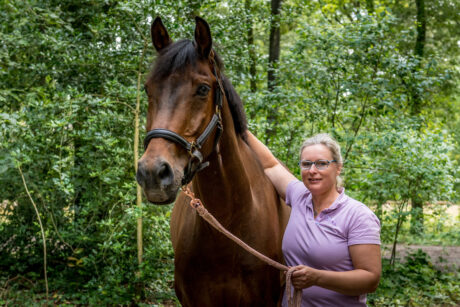Jonge Paarden - Karin Leibbrandt