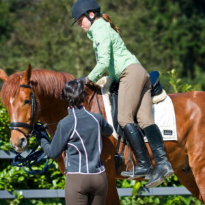 Jonge paarden, wanneer doe je het goed