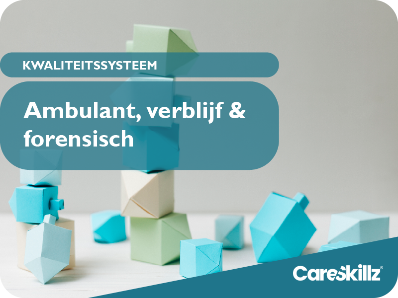 consultancy, kwaliteitssystemen en audits