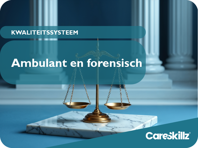 consultancy, kwaliteitssystemen en audits